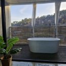 스테이문스파펜션 | 동부산 롯데몰 근처 기장스파펜션 구르브스테이 202호 후기