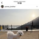 개성있냥