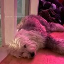 마리나여관 이미지