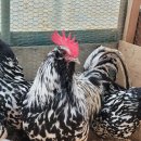 김동열농장 이미지