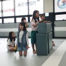 용인대 태혼 태권도장 이미지