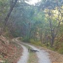 경천대일주로 이미지