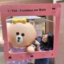 뉴 마인 하우스 이미지