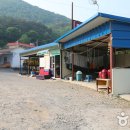 수달레져 이미지
