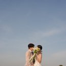 모먼트1479 | 제주스냅 업체 비교, 가격 (제주의오후 키스앤라이드 우리의봄날)