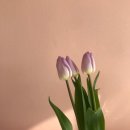 네일바이원 이미지