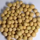 보리콩이네 이미지