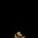 호명산잣나무숲캠핑장 이미지