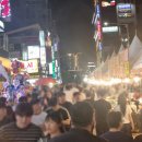 평원초등학교 | 2026 원주 장미축제 후기, 주차 정보부터 볼거리까지