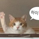 (주)일월 이미지