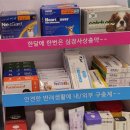 바다동물약국 이미지