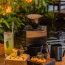 오아시스 목장 이미지