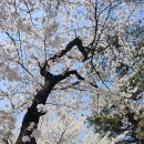 남해벚꽃길지나서 이미지