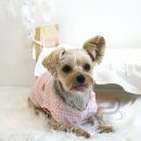 퍼니시어 이미지