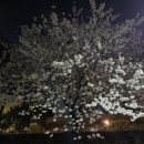 동천성당 앞 이미지