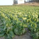 성원여관 이미지