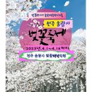 전주 송광사 벚꽃축제 공지 이미지