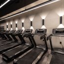 더베스트짐 이미지