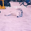 S.T GYM(헬스) 이미지