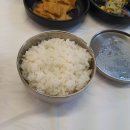 오로지생태한마리 이미지