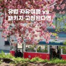 유럽 패키지 vs 세미패키지 vs 자유여행 비교 분석 해드림
