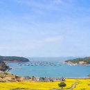 완도항구 | 완도 청산도 여행 코스🌼 배편 배시간 가는법 서편제 주막 유채꽃