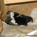 쪽빛나라 이미지