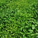 흙과삶농장 이미지