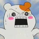 우리강아지 이미지