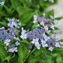 하랑공인중개사사무소 이미지