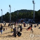 속초 김약국 이미지