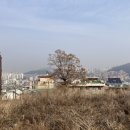 영복슈퍼 이미지