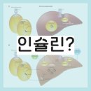 현스짐