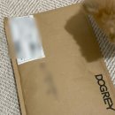 도그레이 이미지