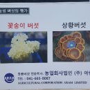 농업회사법인아람농장(주)