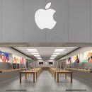 호텔 펄리 이미지