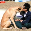 안녕하세요 이미지