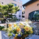 세븐일레븐 충주연수중앙점 | [전국성당투어] 충북 충주 계명성당 방문 후기 (2026.06.13 연중 제11주일)