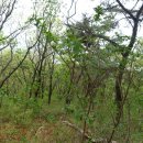 연화주유소 이미지