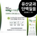 비엔헬스 | 비엔날씬 프로틴 추천, 체지방 관리와 장건강을 동시에!!