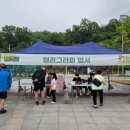 [시민]캘리그라피 이미지