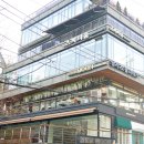 뉴문6 | 세종문화회관 근처 맛집 광화문역 회식 하기 좋은 뉴문