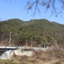 황산로(24호선) Daum카페