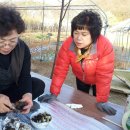 김영기 농장 이미지