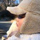 시냇물 농장 | 17개월 아기 언어 수준과 엄마가 알아챈 아기 성향과 성격 기록