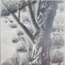 연필화 & 팝아트 이미지