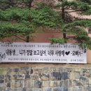 14단지횡단보도 이미지