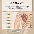 바른숲한의원 이미지