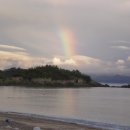 플로라펜션 이미지