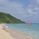 [미야코지마 자유여행] 아라구스쿠 해변 총 정리｜망한후기 주차 샤워시설 거북이 스팟 사진찍는 팁